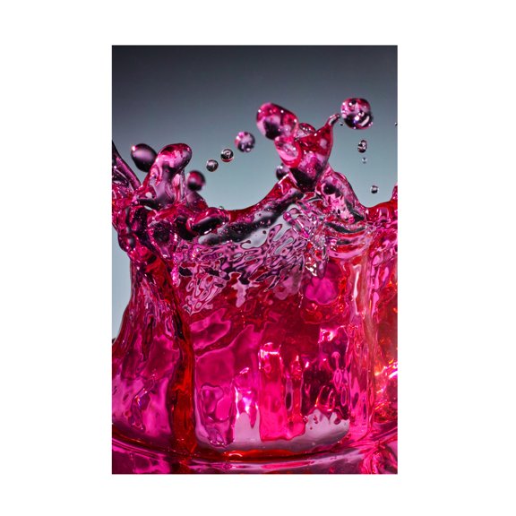 Trademark Fine Art TOSHIO TANEDA water jewelry Canvas Wall Art