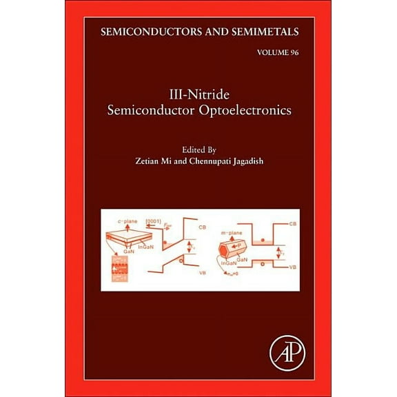 Semiconductors and Semimetals III-Nitride Semiconductor Optoelectronics: Volume 96, Book 96, (Hardcover)