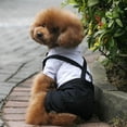thumbnail image 2 of Western Style Men's Suit & Bow Tie Clothes for Small Pet Dogs Clothes Puppy Apparel Jumpsuit, 2 of 6