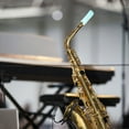 thumbnail image 3 of 2 piezas delicadas saxofón de reposabrazo Saxion Sax Sax Cubierta de instrumento Suministro de instrumentos, 3 of 8