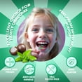 thumbnail image 7 of EVERYDAY JOE Dental Floss Picks, Fresh Mint Flavor, 300 Count, 7 of 7