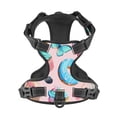 thumbnail image 3 of JUNZAN Cupcakes and Donuts Pattern Dog Harness - Lightweight,Soft,Adjustable Small Harness and Leash Set-Medium, 3 of 6
