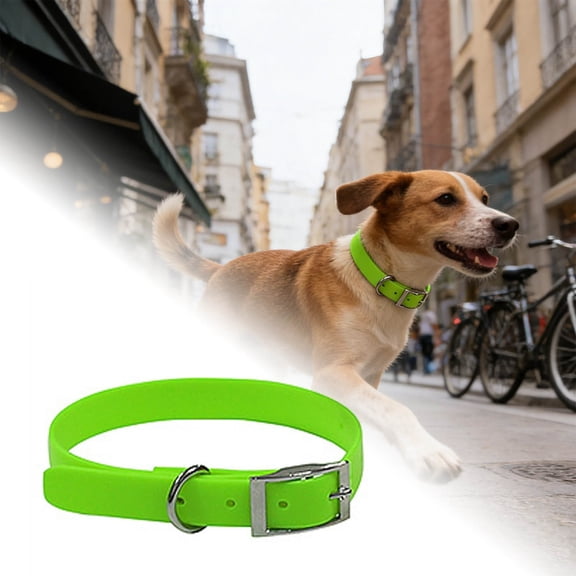 Nylon Adjustable Pet Collar with Clasps and D-Shaped Rings for Cats and Dogs Indoor Outdoor Use Chew- Designed for All