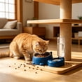thumbnail image 3 of EGNMCR Cats Bowl Two In One Drinking Water Dog Water Bowl Rice Bowl Pet Bowl Drinking Water Feeding All One Suitable For Dogs And Cats To Live And Drink Water Plastics cat bowl, 3 of 5