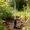 Chang, variant on Zeiwohndc Flexible Soil Tester For Healthy bushes Growth In Various Locations