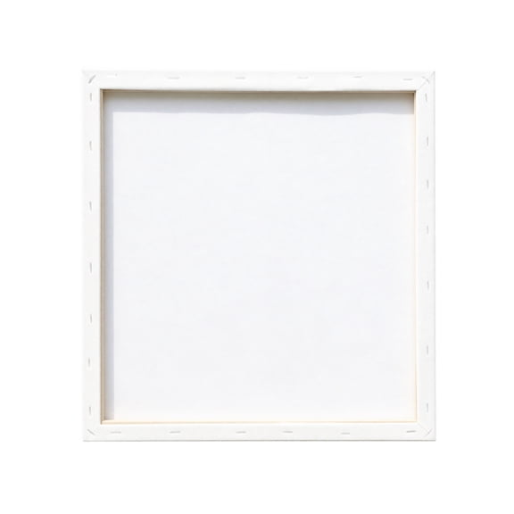 Stretched Canvas for Painting with Solid Wood Stretcher Bars, Blank Canvas for Painting for Student Art Projects, Creative Gift Paint by Number Canvas