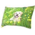 thumbnail image 2 of Labrador Retriever Dog Velvet Oblong Lumbar Plush Throw Pillow Cover/Shams Cushion Case - 16x24in - Decorative Invisible Zipper Design for Couch Sofa Pillowcase Only, 2 of 7