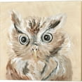 thumbnail image 3 of Great Art Now Freckles the Fox, Willow the Owl & Roxie the Raccoon by Cindy Jacobs 3 Piece Canvas Art Set Each 14"W x 14"H, 3 of 4