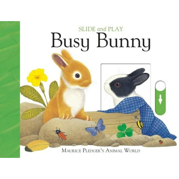Pre-Owned Slide and Play: Busy Bunny (Board book) 1626865736 9781626865730