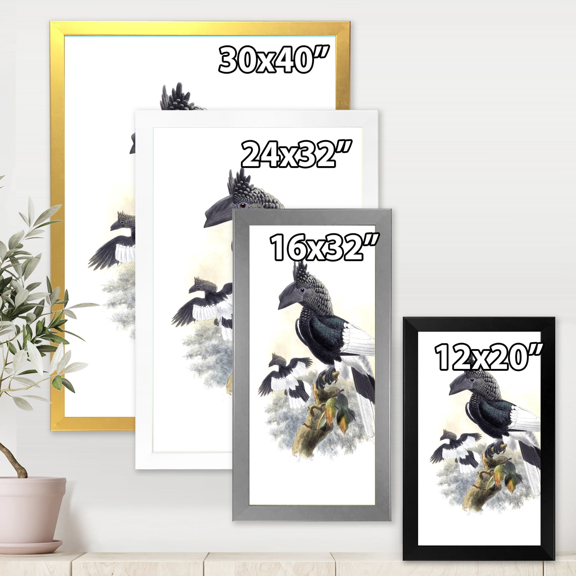 Designart 'Ancient Australian Birds XVI' Traditional Framed Art Print