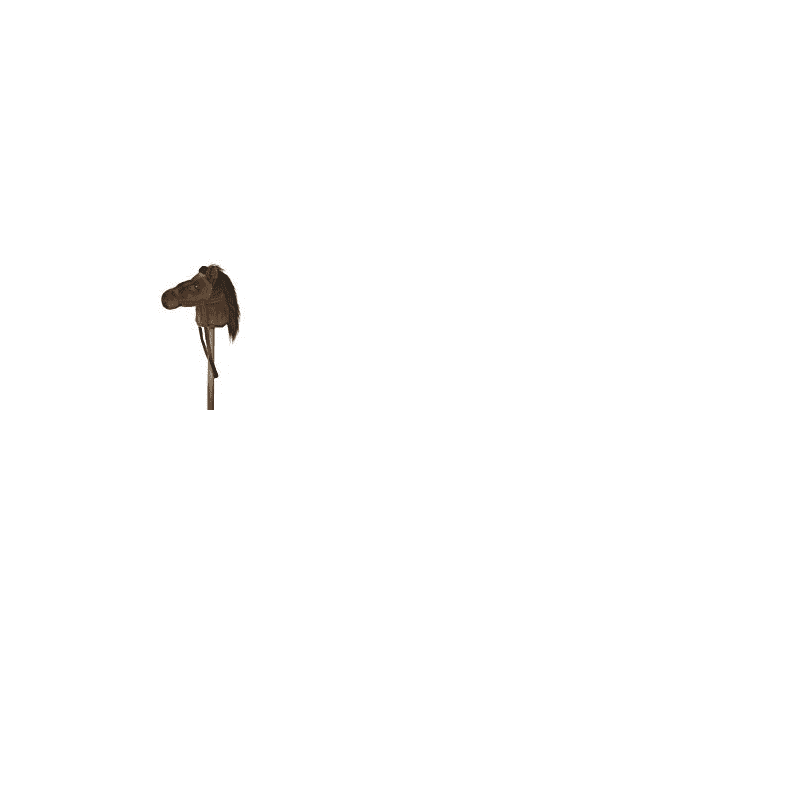 giddy up stick horse