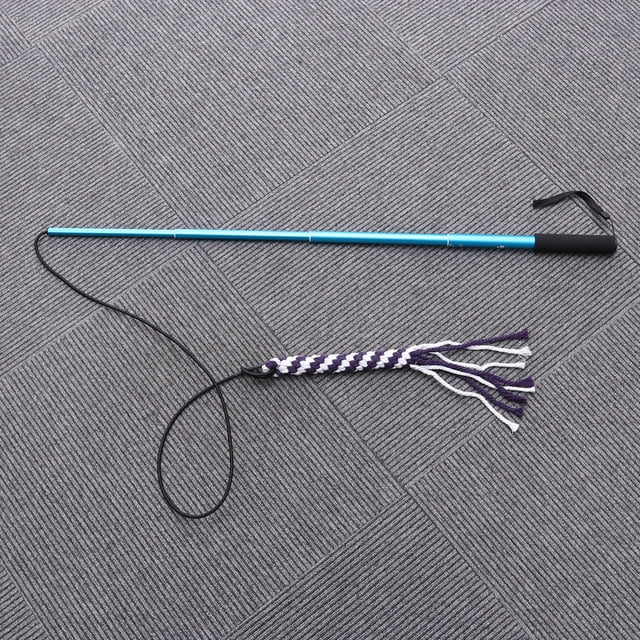 CHICHUMID 1Set Chasing Dog Toys Collapsible Flirt Pole for Outdoor