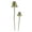 D, variant on Luminous Metal Spotted Mushroom Garden Stake Ornament Waterproof Outdoor Yard Patio Landscape Decor Light