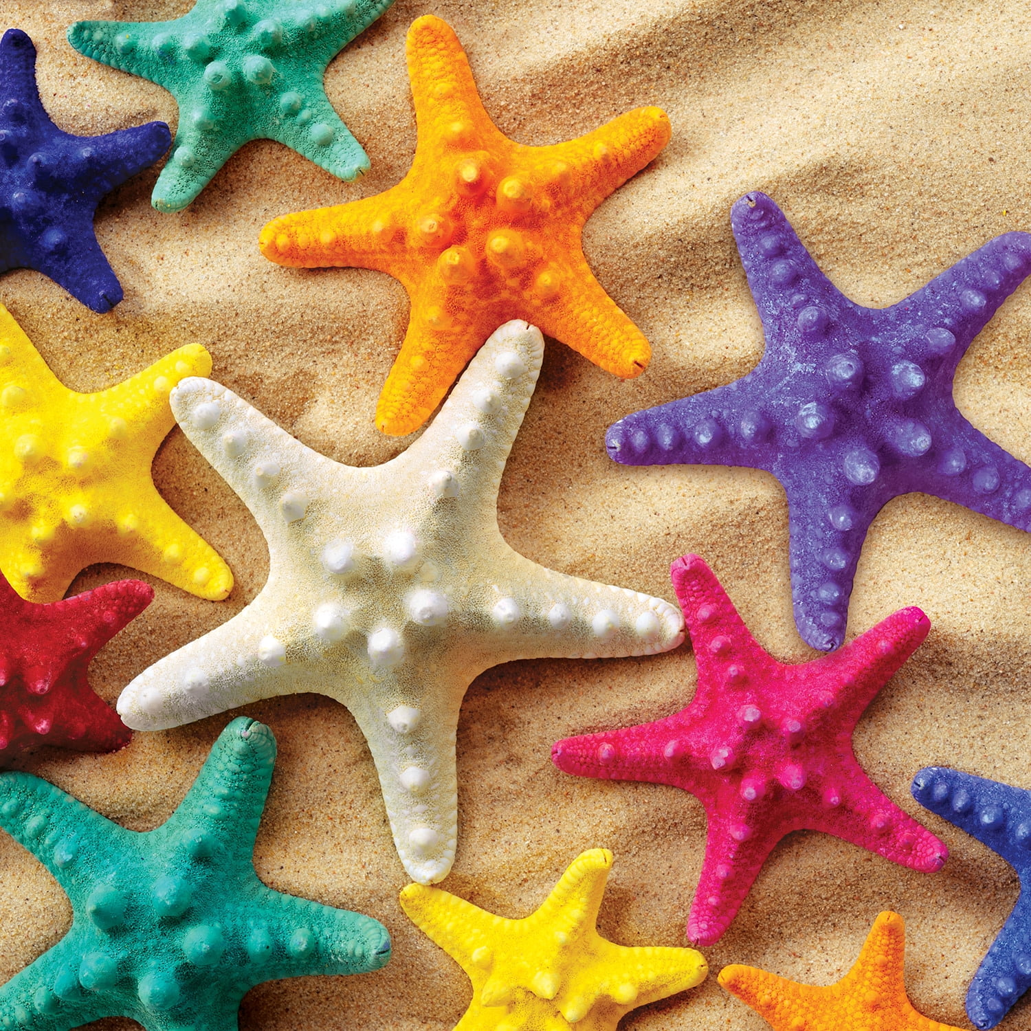 MasterPieces Starfish 100 Piece Sea Animal Jigsaw Puzzle for Kids