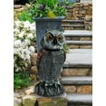 Ihvewuo Plastic Fake Owl Decoy Scarecrow to Scare Birds Lifelike