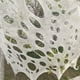 thumbnail image 5 of Populares Giant Web Halloween Decorations Outdoor, Stretchy Web For Halloween Party, Web Halloween Indoor Outdoor Decor For Haunted House, 5 of 5