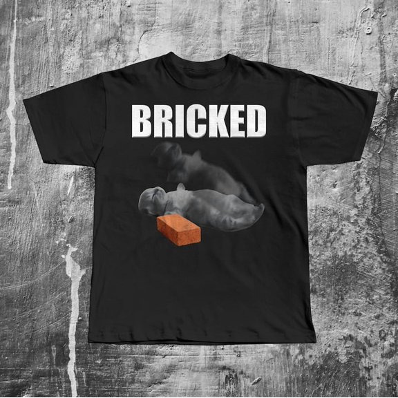 Bricked Funny Cat Knocked Out T-shirt, Cat Meme Shirt, Brainrot Tee, Silly Cats Tshirt, Unhinged Clothes, Weird Tees, Shirts That go Hard