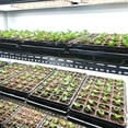 thumbnail image 7 of Growth Lamp,Led 3/6/12h 6 Plant Panel 6 Dimmable Lamp Plant Indoor Lamp Two Dimmable One With 3/6/12h Supplement Indoor Plant Supplement, 7 of 7