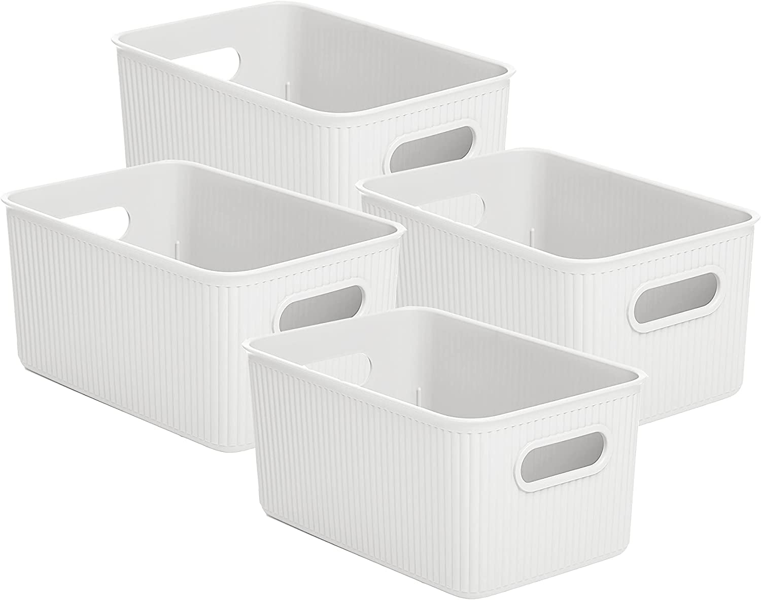 Richards Clear Plastic Storage Containers with Lids for Organizing – 1  Large and 4 Small Bins