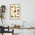 thumbnail image 3 of Stupell Industries Traditional Fruit Collection Studies Gold Floating Frame Canvas Art, 17 x 25, by Diane Neukirch, 3 of 8