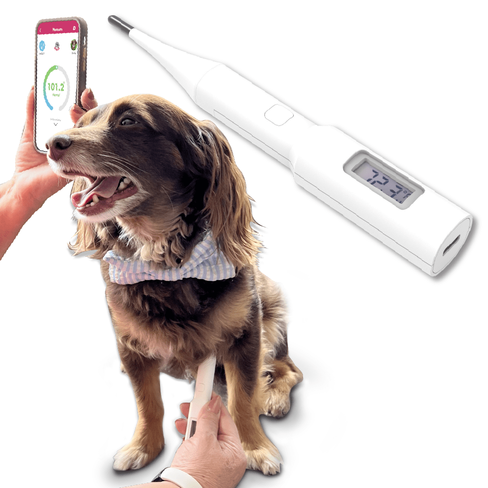 Non-Invasive Underarm Pet Thermometer by Mella Pet Care