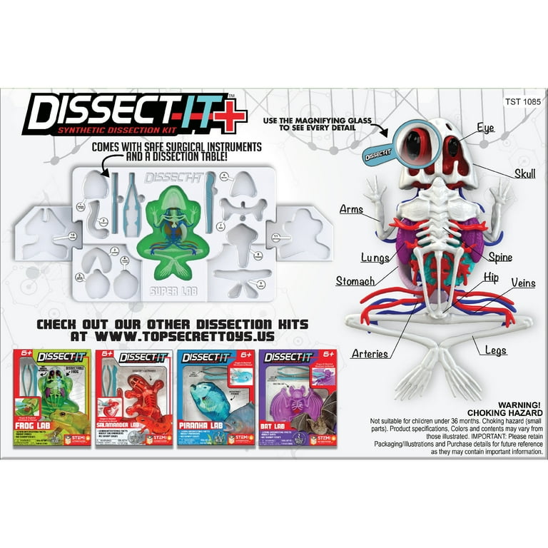 Dissect-It: Deluxe Super Frog Lab - Synthetic Dissection Kit