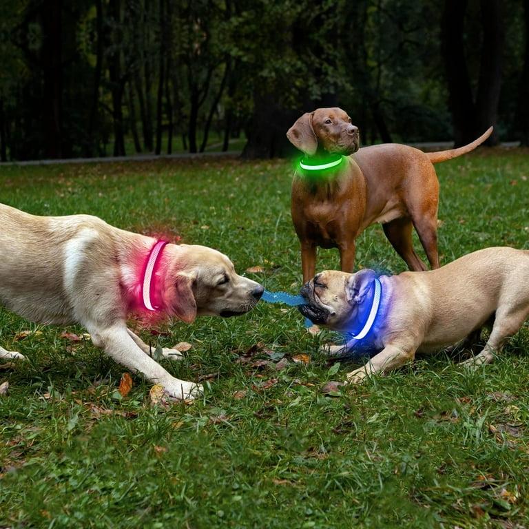 Bseen led cheap dog collar