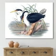 thumbnail image 2 of Designart ' Ancient Bird Life II ' Traditional Canvas Wall Art Print, 2 of 4