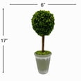 thumbnail image 2 of Bergamo Art Preserved 17 Inch Potted Plumed Cockscomb Ball Pair in Green, 2 of 4