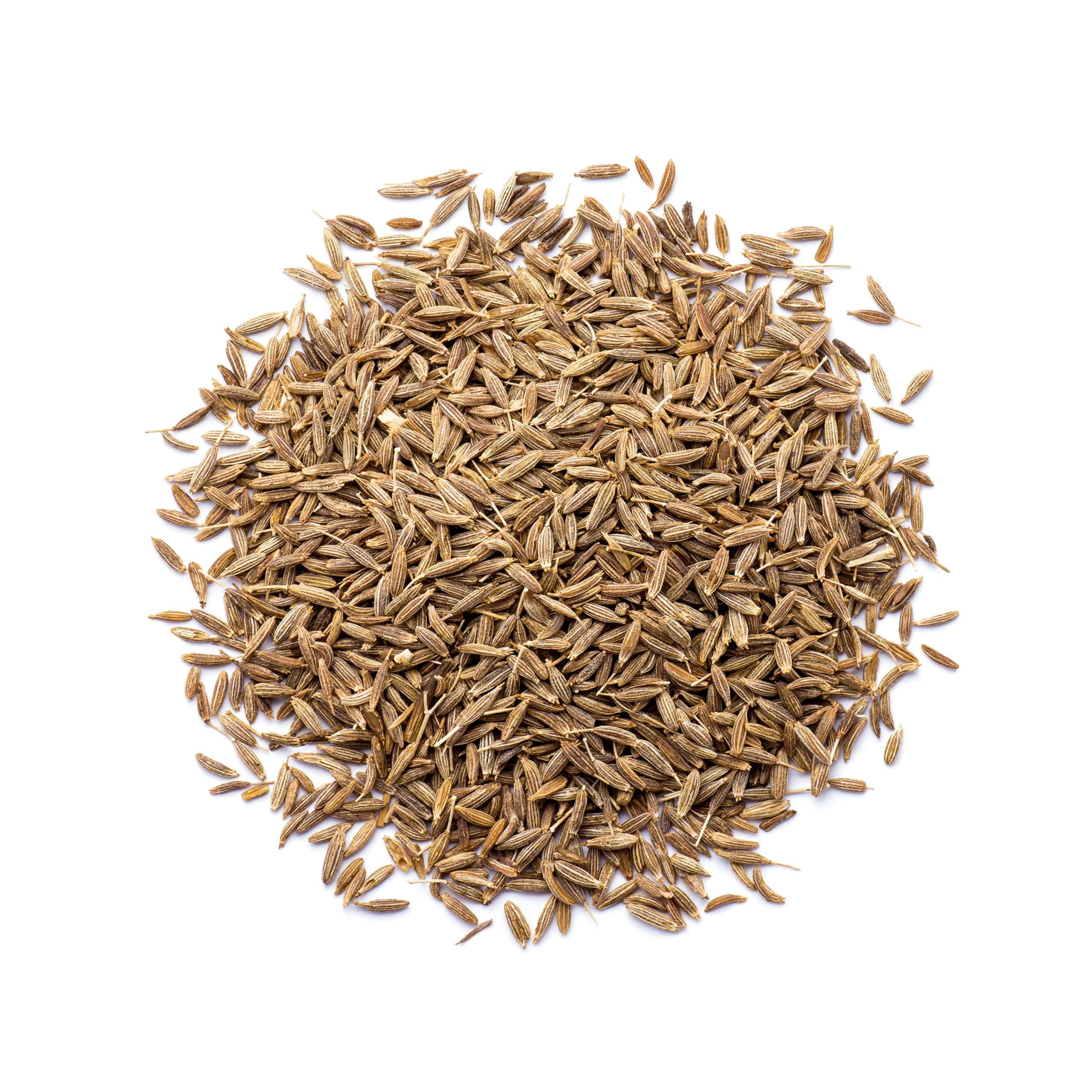 Cumin Seeds, 12 Pounds — Kosher, Raw, Vegan — by Food to Live