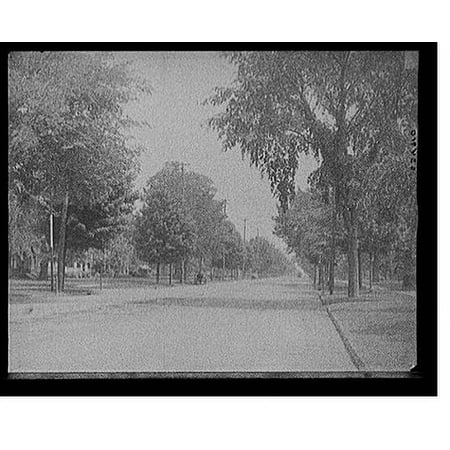 Historic Print, [Sumner Avenue looking east, Springfield, Mass.], 16" x 20"