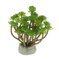 thumbnail image 3 of DOLITY Terrarium pour Reptiles Paysage Lotus, 3 of 8