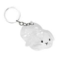 thumbnail image 2 of Botella para recoger pelo de mascota, caja de almacenamiento conmemorativa, recuerdo, regalo conmemorativo portátil con forma de conejo, llavero con conejo de orejas caídas, 2 of 10