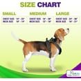 thumbnail image 5 of Katziela Dog Harness Walking Kit and Leash Set in Black Medium for Dogs Pack 1, 5 of 7