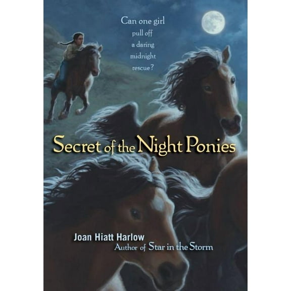 Secret of the Night Ponies (Hardcover)
