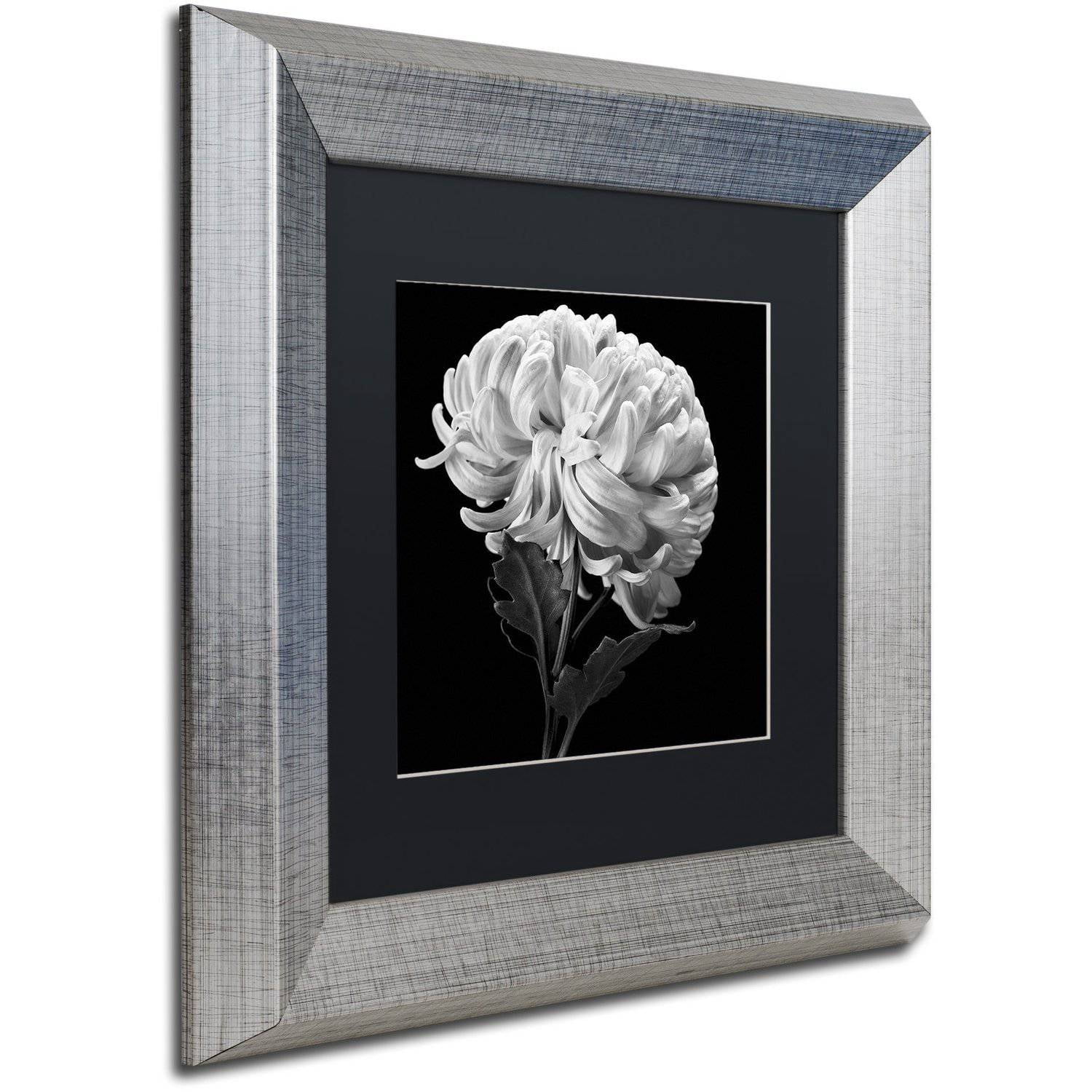 Trademark Fine Art "Mum II" Canvas Art by Michael Harrison Black Matte, Silver Frame