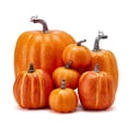 thumbnail image 1 of Diconna 7Pcs Halloween Simulation Pumpkin, Model Artificial Craft Fall Harvest Decoration, 1 of 8