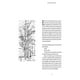 thumbnail image 3 of Libro Ser Un Roble Tapa Blanda, Autor Laurent Tillon, Editorial Editorial Gg, 3 of 3