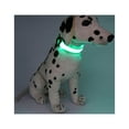 thumbnail image 4 of Collar de perro emisor de luz recargable, collar de perro de seguridad de malla suave ajustable para mayor comodidad,, 4 of 5