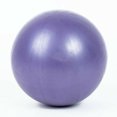 thumbnail image 1 of 2Pcs Yoga Ball Physical Fitness Ball Fitness Machine Exercise Balance Pilates 25cm, 1 of 5