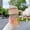 Khaki, variant on 100Fens Scald Proof Water Cup Heat Proof Plastic Straw Water Cup Ice Bar Water Cup Large Capacity Straw Drop Proof Portable Water Cups