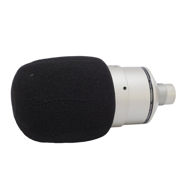 Studio XLR Microphone, 26mm Diaphragm Condenser Microphone with Shock Mount, Windscreen, XLR Cable for Recording, Podcasting, Singing, Live Streaming, Gaming, Online Chatting