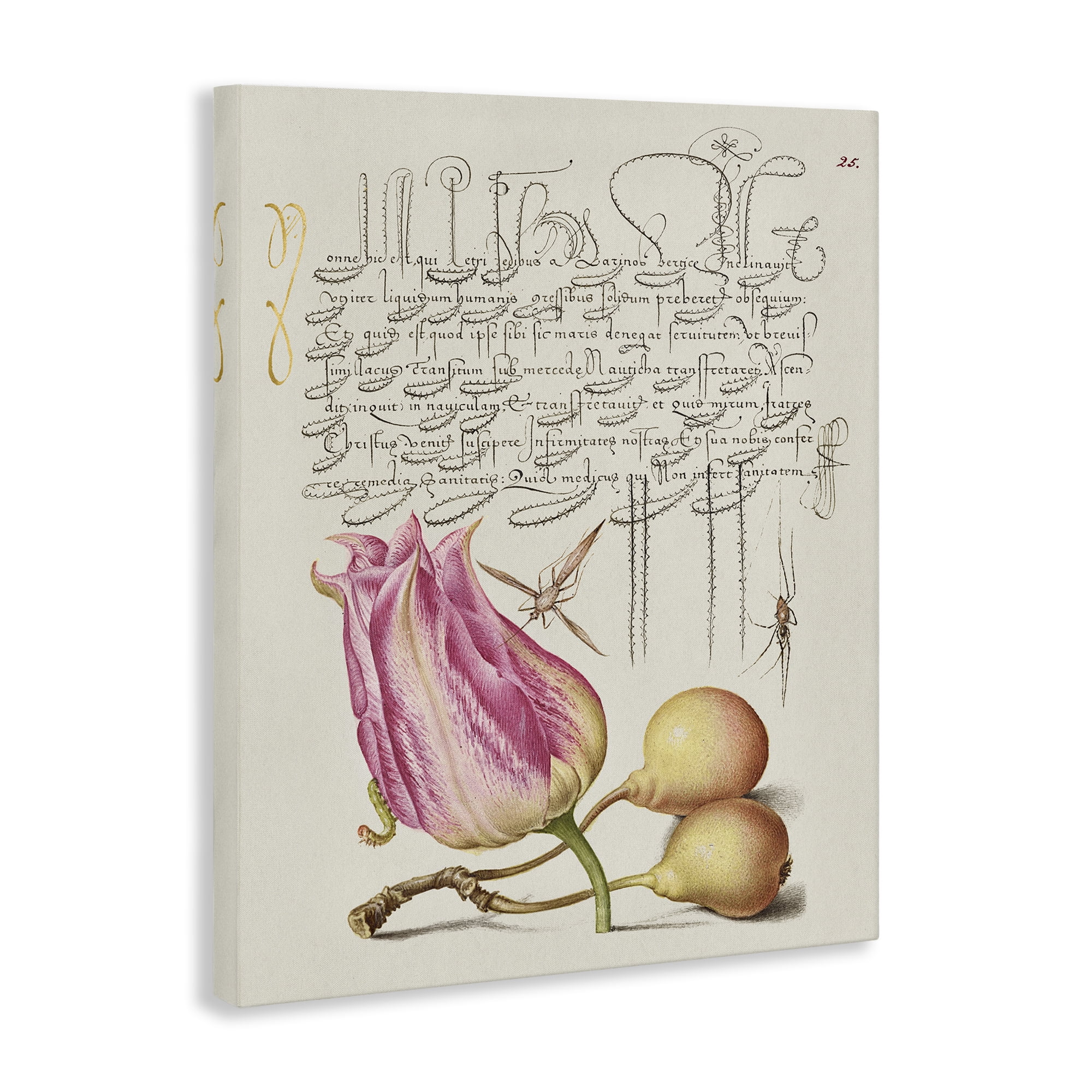 Stupell Industries Budding Lily Vintage Page Text & Numbers Painting Wrapped Canvas Art Print Wall Art, 30 x 40
