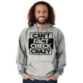 thumbnail image 5 of Can't Fact Check Crazy Funny Insult Hoodie Sweatshirt Women Men Brisco Brands S, 5 of 6