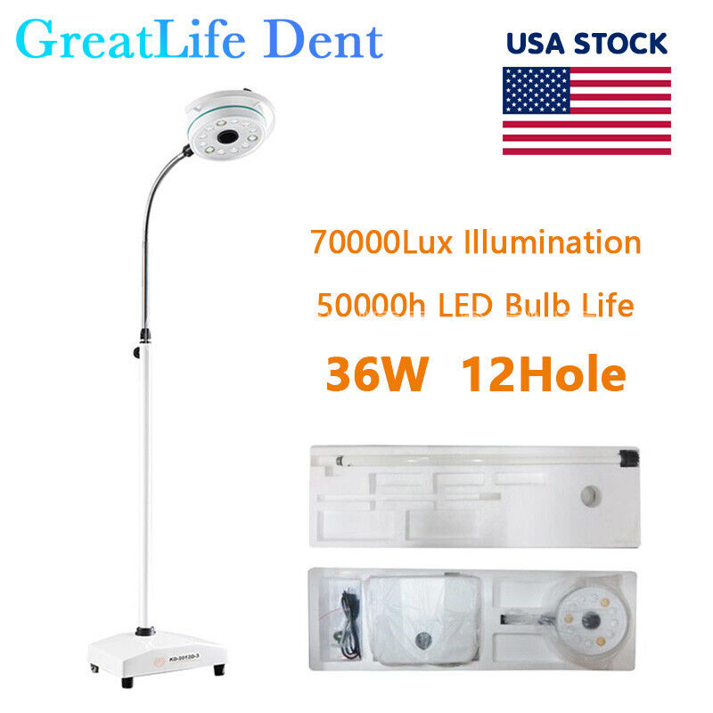 GreatLife Dent USA Stock 36W 12Led Mobile Examination Light Shadowless Surgical Medical Lamp Operating FDA