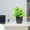 Green2_B, variant on YOHAVEN Artificial Green Plant Potted Faux Leaves Plastic Small Bonsai Tabletop Decoration Office Desk Home Decor Fake Plants Arrangement for Living Room Bedroom