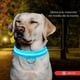 thumbnail image 2 of Collar Para Gato Perro Con Luz Led Ajustable Paseo Nocturno Color Rosa Tamaño Del Collar Xs, 2 of 7