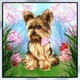 thumbnail image 3 of Bordado Punto Cruz 5D Ygjytge Perro Artesanal 280, 3 of 9