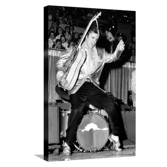 Elvis Presley - Hips Canvas Wall Poster, 14.725" x 22.375"
