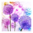 thumbnail image 1 of Cuadros Decorativos Diente de león 5D completo diamante pintura bordado bricolaje punto de cruz Home Decor DQrwqpou Nuevos Originales, 1 of 6